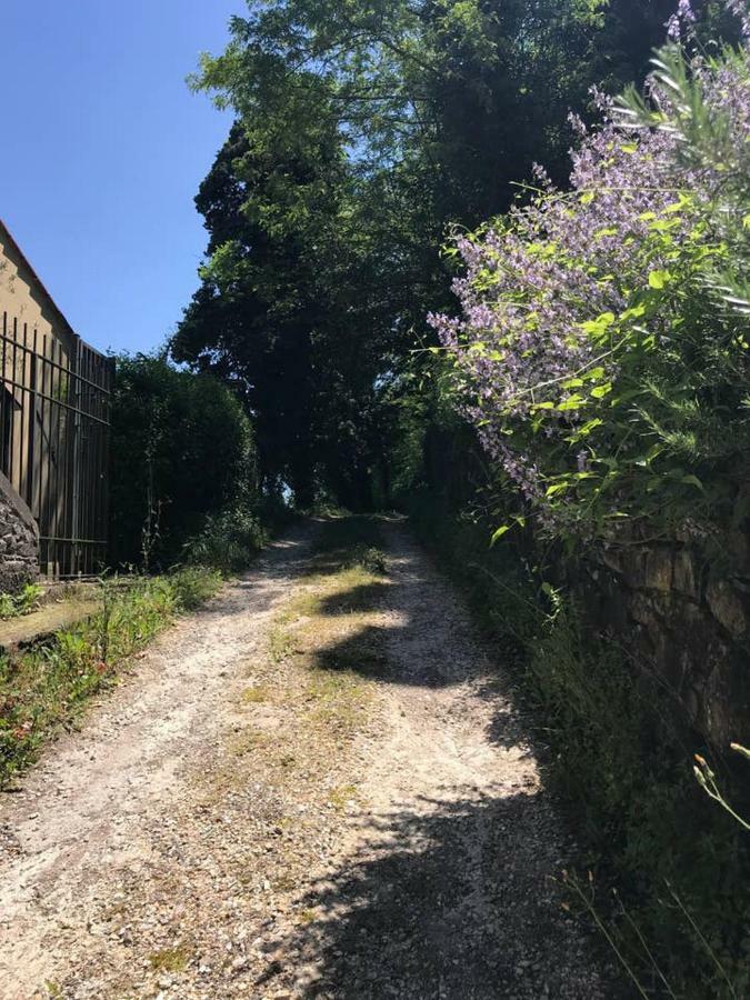 Antica Dimora Di Laura Apartment Barberino di Mugello Luaran gambar
