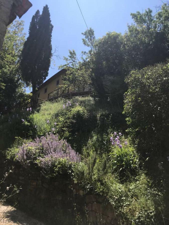Antica Dimora Di Laura Apartment Barberino di Mugello Luaran gambar